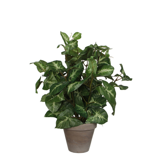 Kunstplant Mica Syngonium groen in pot Ø25 35c