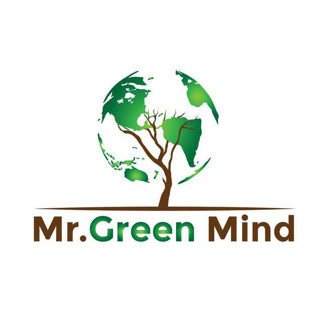 Mr.Green Mind