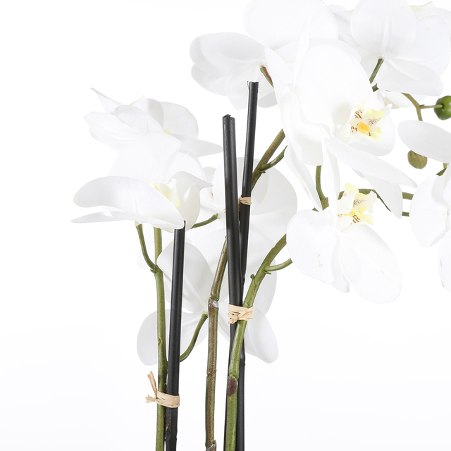 Kunstplant Mica Phalaenopsis orchideeën wit in plastic pot 79x51cm
