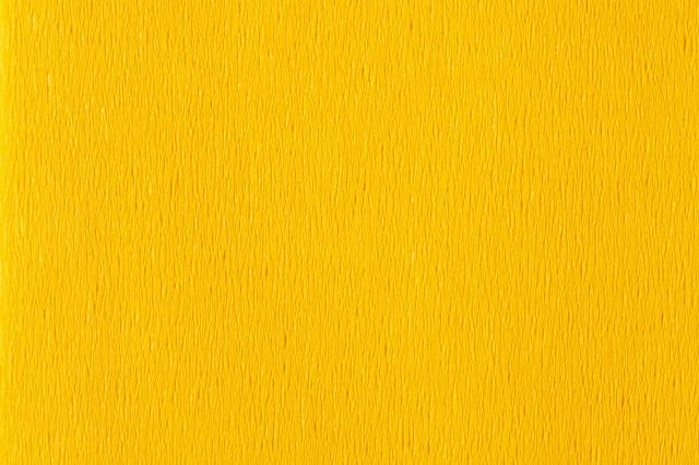 Crêpepapier Folia 250x50cm nr106 gee