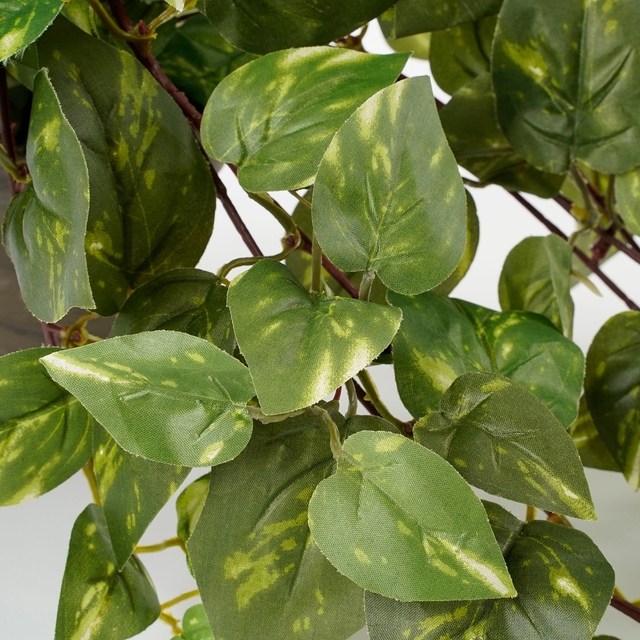Kunstplant Mica Scindapsus hangend groen Ø25 45c