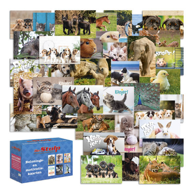 Beloningskaarten De Stulp dierenmix