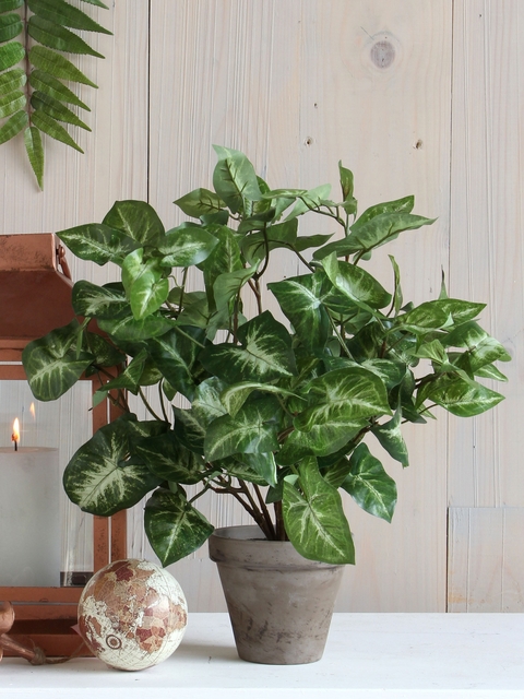 Kunstplant Mica Syngonium groen in pot Ø25 35c