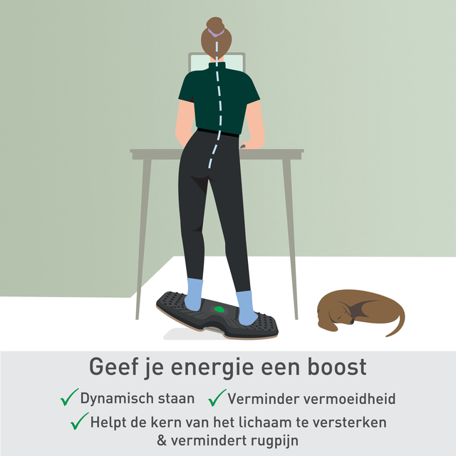 Balansbord Leitz Ergo actief